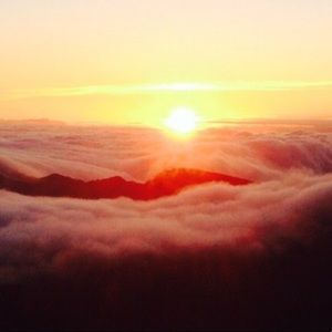 Meet your Posher, Quinn